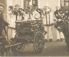 Attelage à Chien , Voiture à Chiens * Carte Photo à Situer ! * Fête Cavalcade Chars Enfants Villageois - Chiens