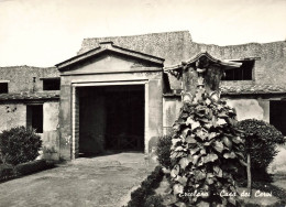 ITALIE - Ercolano - Maison Des Cerfs - Carte Postale Ancienne - Ercolano