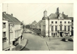 Zottegem ( Belgique, Flandre ). Stadhuis. Hôtel De Ville. Belle CPSM Grand Format - Zottegem