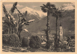 ITALIE - Mérano - Vue Générale - Carte Postale Ancienne - Merano