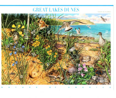 2007 - Stati Uniti - Natura - Great Lakes Dunes ----- - Unused Stamps