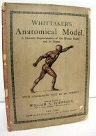 Whittaker's Anatomical Model - Medizin & Gesundheit