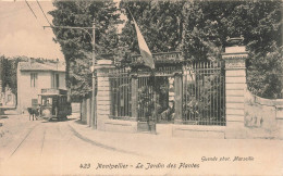 FRANCE - Montpellier - Le Jardin Des Plantes - Guende Phot - Carte Postale Ancienne - Montpellier