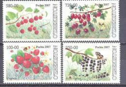 2007.Uzbekistan,  Wild Berries, 4v,   Mint/** - Uzbekistan