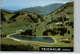 AK - Teichalm - Alpengasthof Vorauer "Zum Teichwirt" - Ca. 1980er - 10x 15cm - #AK1132# - Weiz