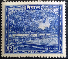 NEPAL                       N° 47                    NEUF** - Népal