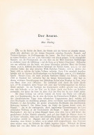610-2 Max Ebeling Ararat Anatolien Armenien Türkei Artikel Von 1899 !! - Autres & Non Classés