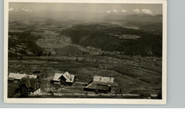 AK - Görlitzen - Bergerhütten - Blick Auf Ossiacher Und Wörthersee - 1957 - 9x 14cm - #AK1157# - Wolfsberg