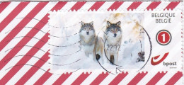 Honden In De Sneeuw - Usati
