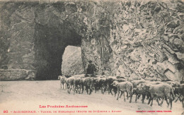 St Girons * Route De St Girons à Aulus * Tunnel De Kercabanac * Troupeau Moutons - Saint Girons