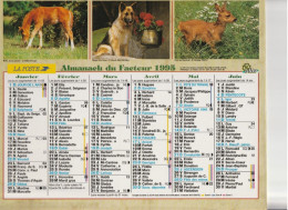 Calendrier-Almanach Des P.T.T 1995 -Jeune Poulain- Poussin -Département AIN-01-Référence 410 - Tamaño Grande : 1991-00