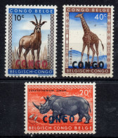 W016 Congo 1961 Animals 10c-20c-40c Overprint "CONGO" (short Set) MNH - Other & Unclassified