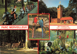LUXEMBOURG - Bettembourg - Souvenir Du Parc Merveilleux - Carte Postale Ancienne - Bettembourg
