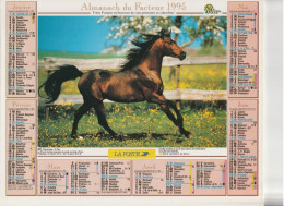 Calendrier-Almanach Des P.T.T 1995 -Cheval Brun - Pur Sang Anglais -Département AIN-01-Référence 407 - Big : 1991-00