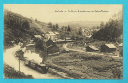 * Vielsalm (Luxembourg - La Wallonie) * (Photo Baccus) La Fosse Roulette Vue Sur Salm Chateau, Train, Tram, Vicinal - Vielsalm
