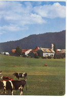 LA CHAPELLE DES BOIS CAFE TABAC HOTEL FRONTIERE FRANCO SUISSE 1976 - Autres & Non Classés