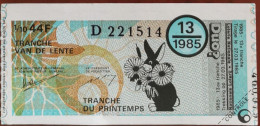 Billet De Loterie Nationale Belgique 1985 13e Tranche Du Printemps - 27-3-1985 - Biglietti Della Lotteria