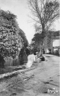 Mauzé Sur Le Mignon * CPA Couleur Verte * Un Lavoir ( Laveuse Lavandière Blanchisseuse ) Et Le Mignon - Mauze Sur Le Mignon