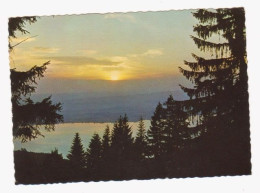 Ak. Zugersee, Abendstimmung, Gel. 1967 - Zugo