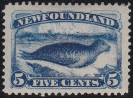 Newfoundland    .    SG   .    53 (2 Scans)   .    *     .   Mint-hinged - 1865-1902