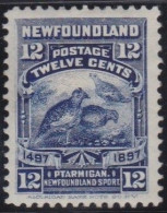 Newfoundland    .    SG   .    74  (2 Scans)     .    *     .   Mint-hinged - 1865-1902