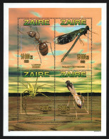 Kongo-Zaire 1996 - Mi-Nr. 1145-1148 A ** - MNH - Insekten - Spinnen - Nuovi