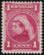 Newfoundland    .    SG   .    84    .    *     .   Mint-hinged - 1865-1902