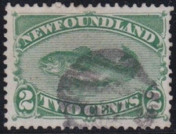 Newfoundland    .    SG   .    46     .    O     .  Cancelled - 1865-1902