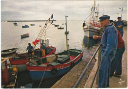 GUILVINEC (29) Bateaux De Retour De Pêche - Guilvinec