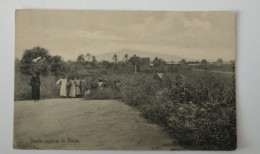 Duala-Jugend Im Felde, Bantu-Volk, Kamerun, 1910 - Camerun