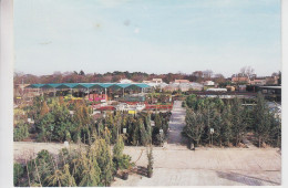 CPSM Gradignan - Publicité Pépinières Le Lann 250, Route De Bayonne (jolie Vue D'ensemble) - Gradignan