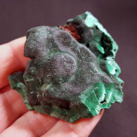 #Y20 - Schöne Botryoidale MALACHIT Kristalle (Shilu, Yangchun, Guangdong, China) - Minerales