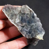 #Y21 - Beau FLUORINE Avec Calcite Cristaux (Coahuila, Mexique) - Minéraux