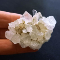 #Z34 - QUARZO Cristalli (Ghiacciaio Del Miage, Val D'Aosta, Italia) - Mineralien