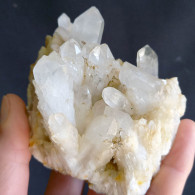 #X02 - Bel QUARZO Cristalli (Villamassargia, Sardegna, Italia) - Minerales