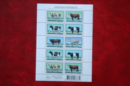 Rundveerassen Koe Cow Kuh Vache NVPH V2973-2978 2973-2978 (Mi 3010-3015) 2012 MNH / POSTFRIS NEDERLAND - Unused Stamps