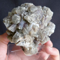 #X04 - Grosso Gruppo Di Cristalli Di ARAGONITE (La Pesquera, Spain) - Minéraux