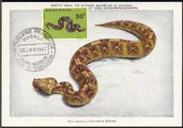 RWANDA(1967) Gabon Viper. Maximum Card With First Day Cancel. Scott No 196, Yvert No 193. - Other & Unclassified