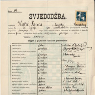 CROATIA  / K. U. K. AUSTRIA  - ZENSKA UCITELJSKA . SK. U SAM.  Ss MILOSRDNICA  CERTIFICATE - 1917  - TAX STAMP 30 FILLER - Diplômes & Bulletins Scolaires