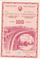 Bosnia And Herzegovina, Banknotes /bond /stock/obveznica,zajam 100 Dinara, 1.10.1976 - Bosnia And Herzegovina