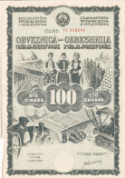 Bosnia And Herzegovina, Banknotes /bond /stock/obveznica,zajam 100 Dinara, 2.4.1968 - Bosnien-Herzegowina