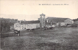 FRANCE - Mont Pilat - La Jasserie - Vaches - Carte Postale Ancienne - Autres & Non Classés