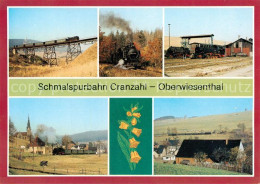 73867867 Cranzahl Sehmatal Viadukt Bergfahrt Lokeinsatz Oberwiesenthal Hammerunt - Sehmatal