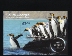 2023 South Georgia & The South Sandwich Islands Fauna Nature Bird King Penguin Frozen Planet II Mini Sheet MNH - Südgeorgien