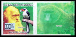 Comoros 2009 MNH Imperf, Darwin, Decken's Hornbill, Birds, Baron Karl Klaus Von Der Decken - Piciformes (pájaros Carpinteros)