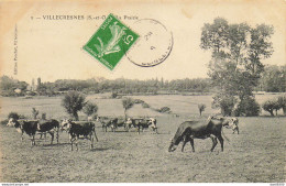 94 VILLECRESNES LA PRAIRIE TROUPEAU DE VACHES CARTE N° 1 - Villecresnes