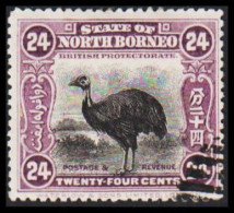 1909-1911. NORTH BORNEO. Country Motives - Animals. 24 C.  (MICHEL 139) - JF540027 - Noord Borneo (...-1963)