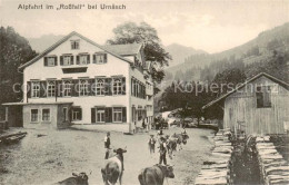 13850924 Urnaesch AR Alpfahrt Im Rossfall Urnaesch AR - Autres & Non Classés