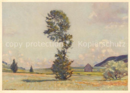 13842954 Eggerstander Moos Eggenstanden Appenzell IR Panorama Kuenstlerkarte  - Altri & Non Classificati