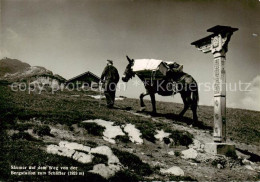 13806724 Schaefler 1925m IR Saeumer Auf Dem Weg Von Bergstation Zum Schaefler  - Altri & Non Classificati